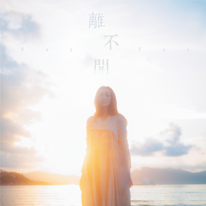 推特apolloston在线
