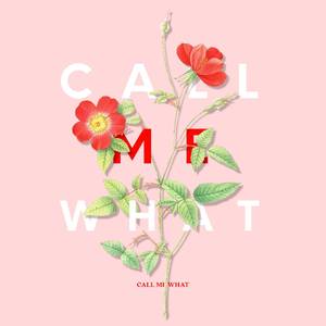 推特apolloston在线
