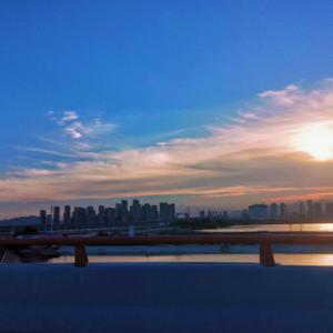 推特apolloston在线
