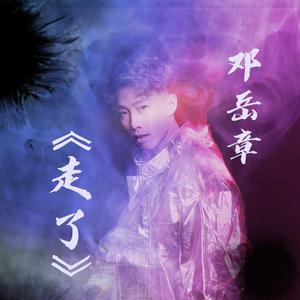 推特apolloston在线
