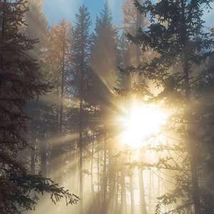 推特apolloston在线
