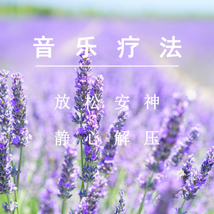 推特apolloston在线
